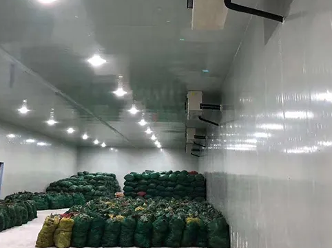 1000平方農產品冷庫安裝工程成本費用多少錢