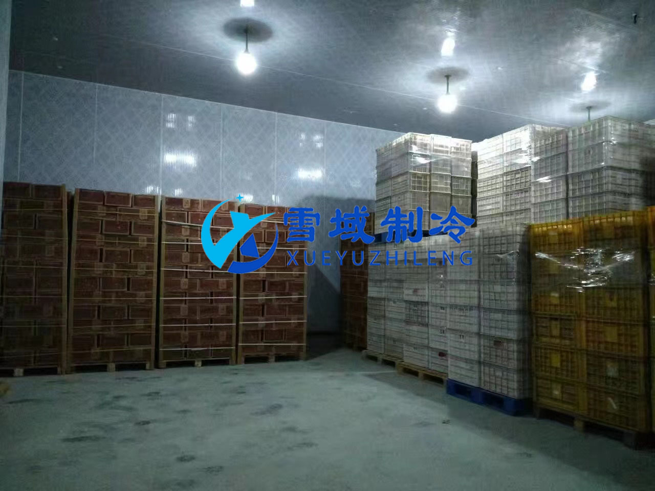 南京某水果公司水果冷庫現場圖片 南京某水果公司水果冷庫現場圖片