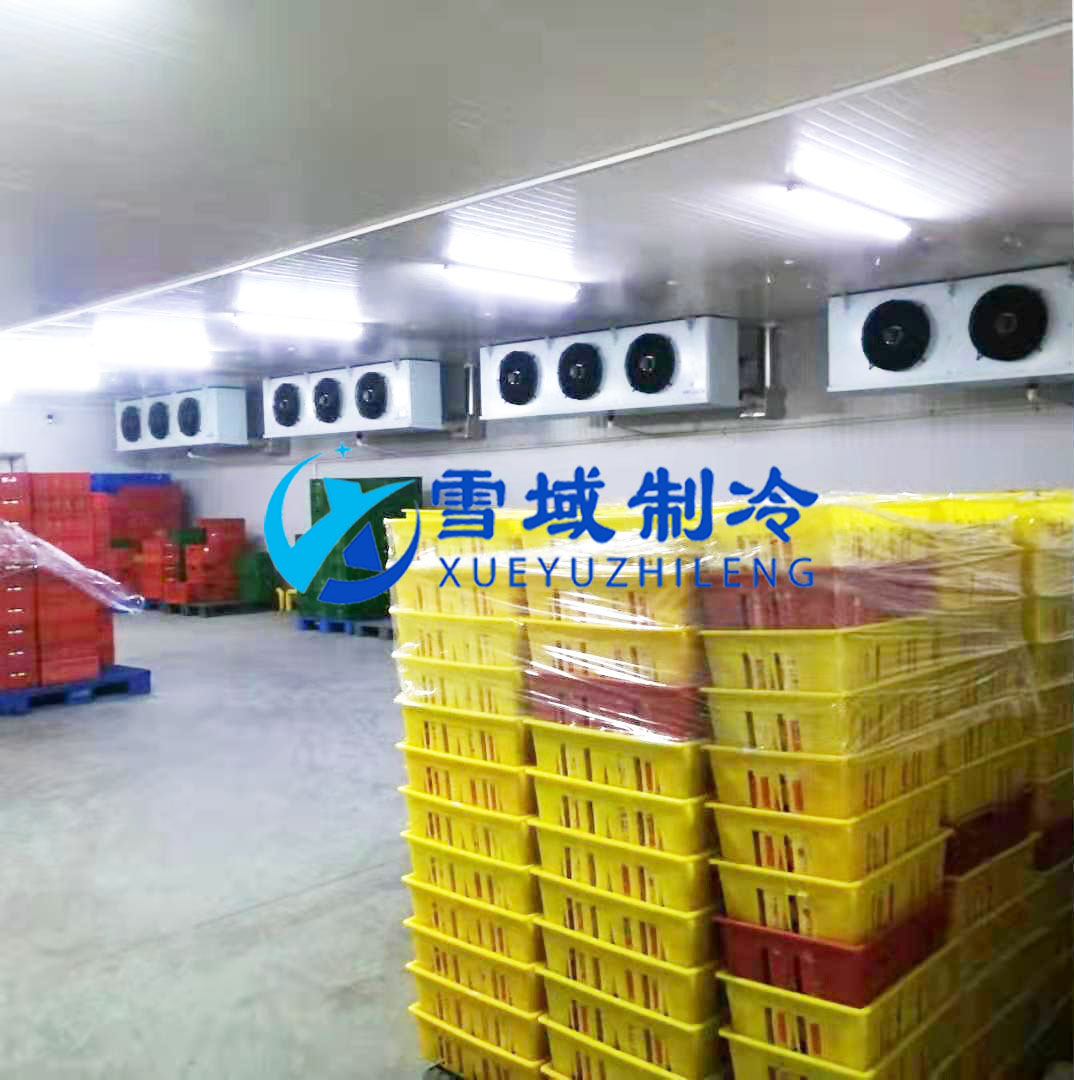 徐州衛(wèi)崗速凍冷庫現(xiàn)場(chǎng)圖片