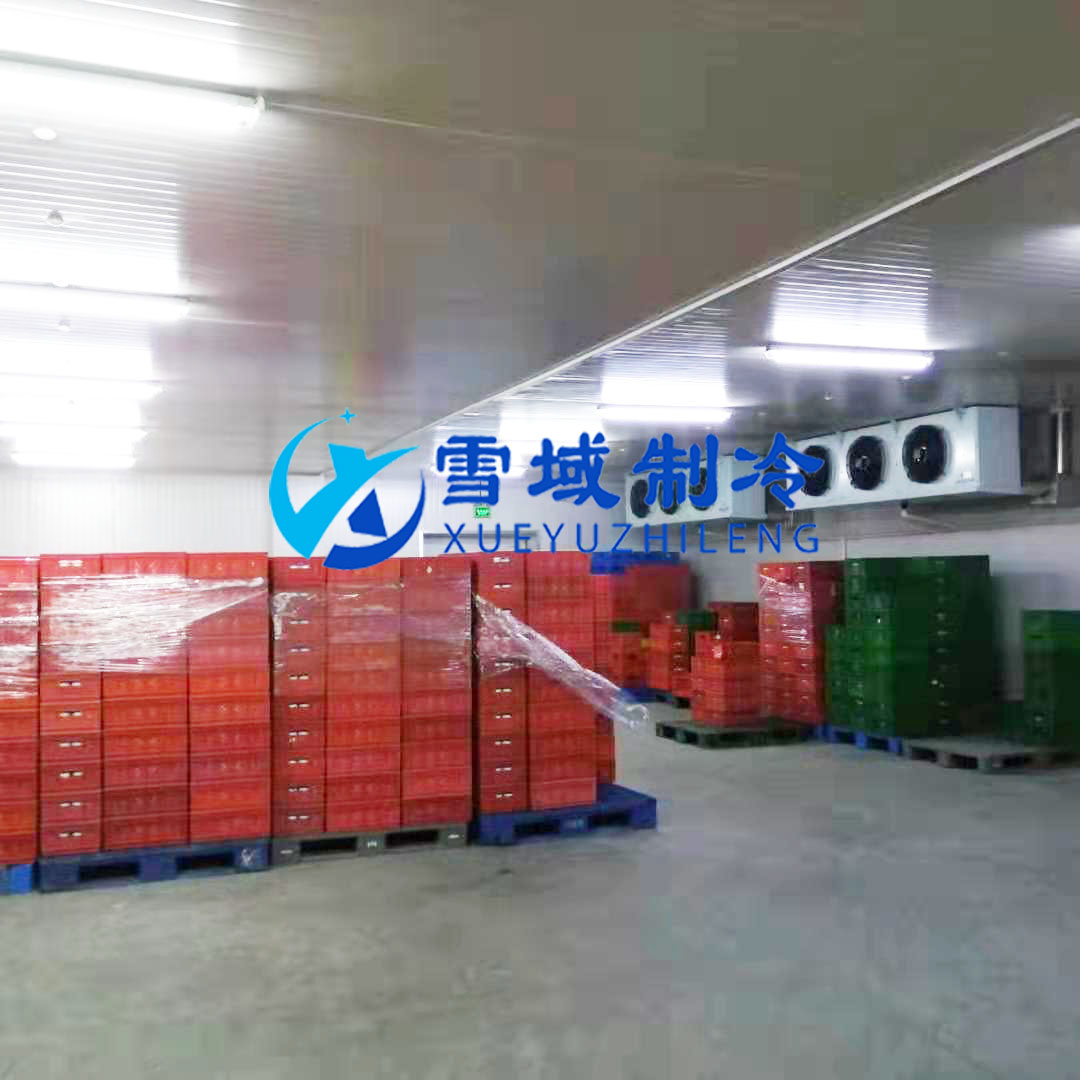 徐州衛(wèi)崗速凍冷庫現(xiàn)場(chǎng)圖片