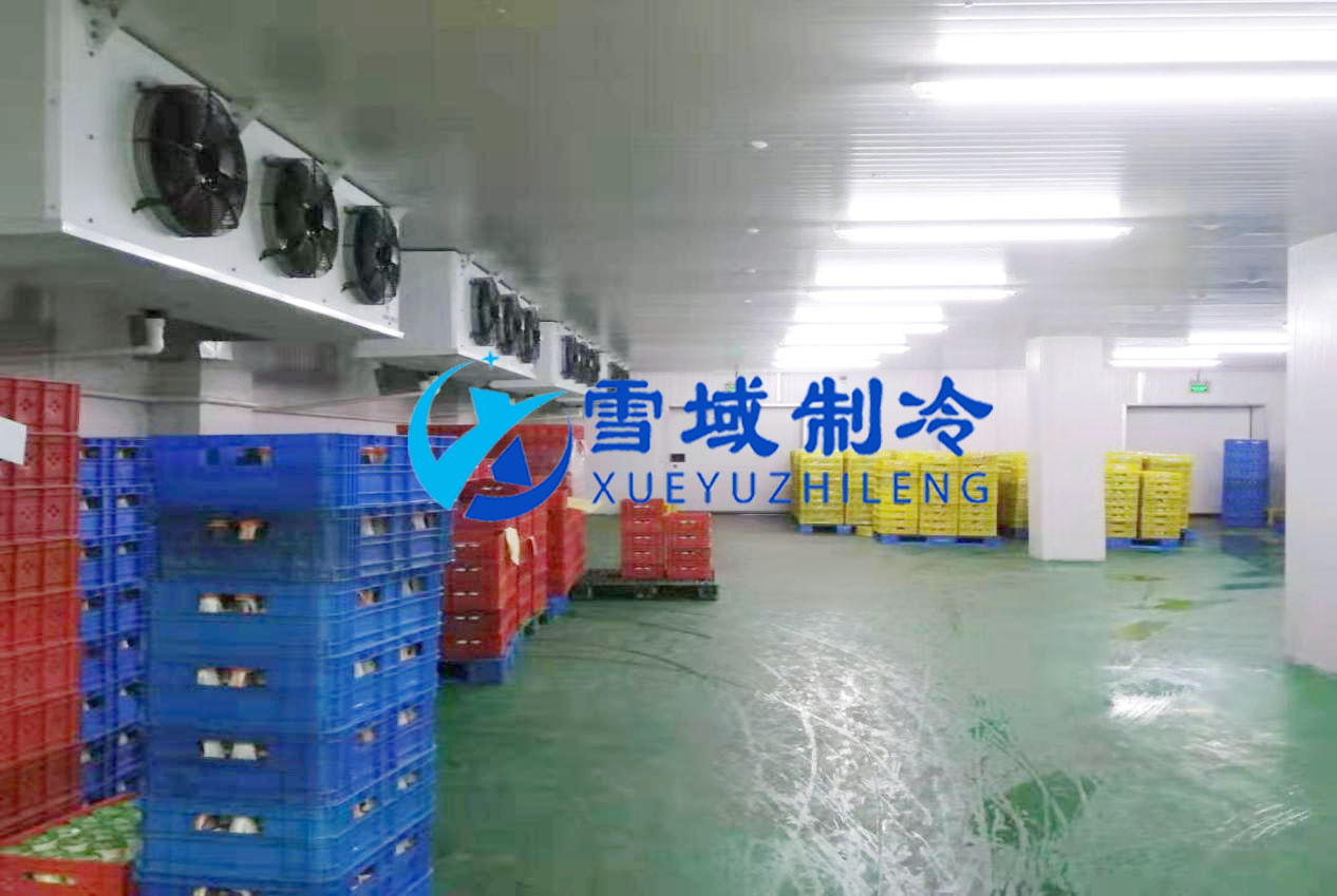 徐州衛(wèi)崗速凍冷庫現(xiàn)場(chǎng)圖片