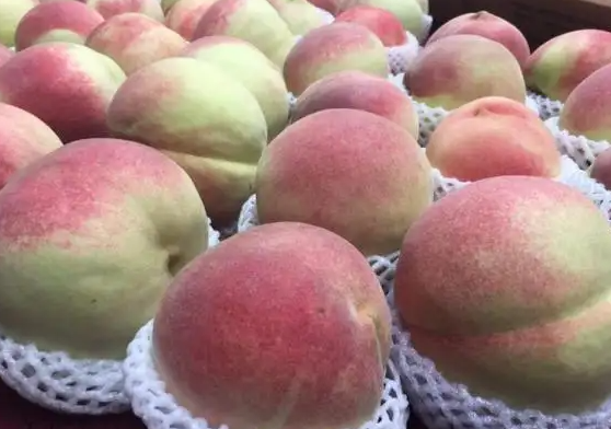 桃子保鮮 桃子保鮮