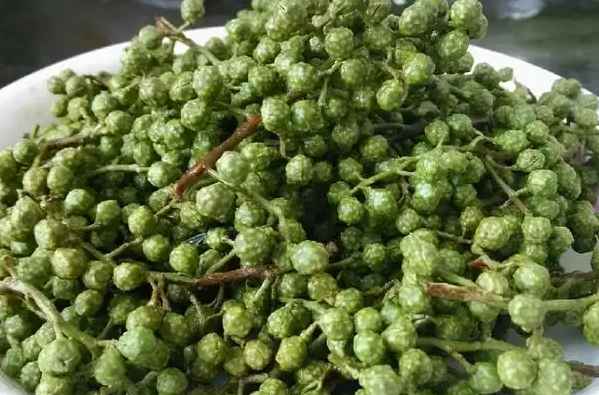 藤椒冷庫設計 藤椒冷庫設計