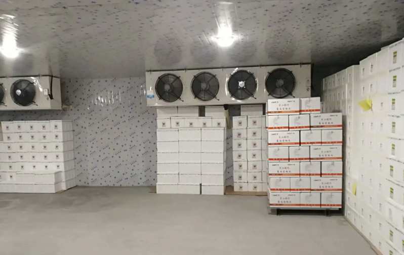 600平米果蔬冷庫方案設計理念 600平米果蔬冷庫方案設計理念