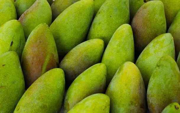 建造青芒果保鮮冷庫需要多少錢 建造青芒果保鮮冷庫需要多少錢