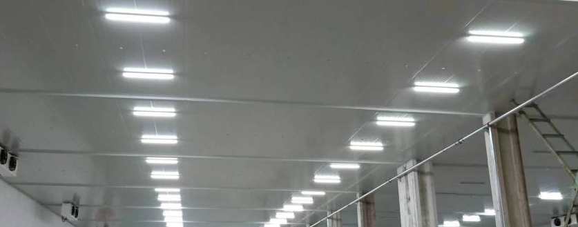 冷庫(kù)安裝什么樣照明燈比較好 冷庫(kù)安裝什么樣照明燈比較好