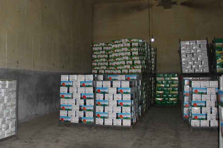 儲藏水果的冷庫造價是多少錢