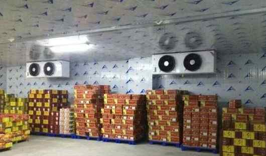 水果冷藏庫改造優化方案