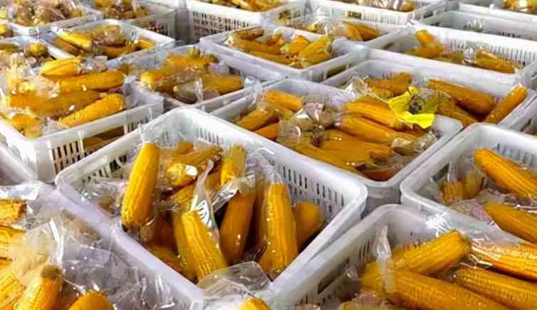 大批量水果玉米冷庫(kù)儲(chǔ)存技巧 大批量水果玉米冷庫(kù)儲(chǔ)存技巧