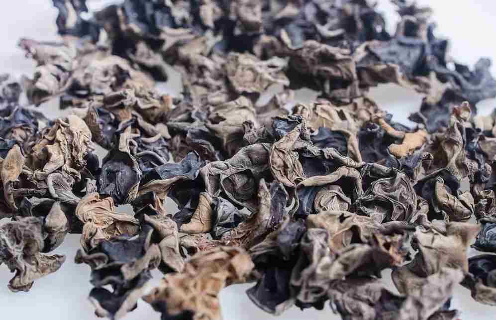 南京木耳保鮮冷庫(kù)安裝大概需要多少錢 南京木耳保鮮冷庫(kù)安裝大概需要多少錢