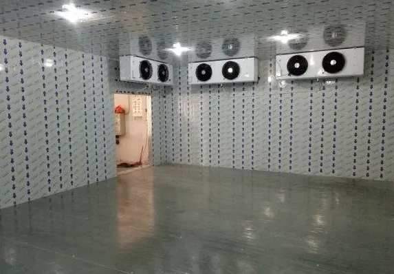 建一個(gè)一百平的 冷庫(kù)大約需要多少錢 建一個(gè)一百平的 冷庫(kù)大約需要多少錢