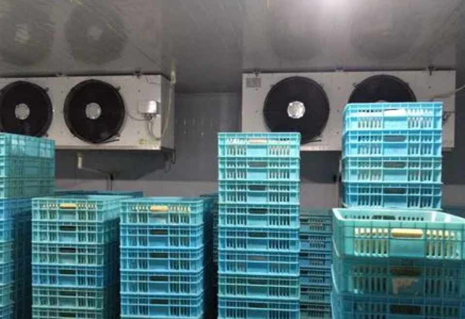 速凍庫多少錢一個平方米 速凍庫多少錢一個平方米