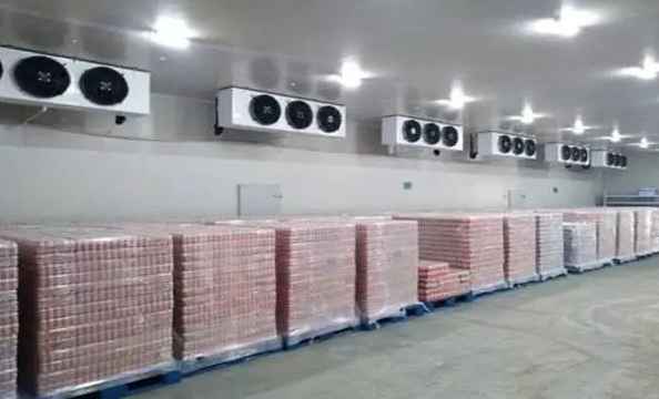 橙子放冷庫冷藏溫度多少合適 橙子放冷庫冷藏溫度多少合適