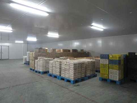 在上海建造一座冷庫(kù)需要多少錢