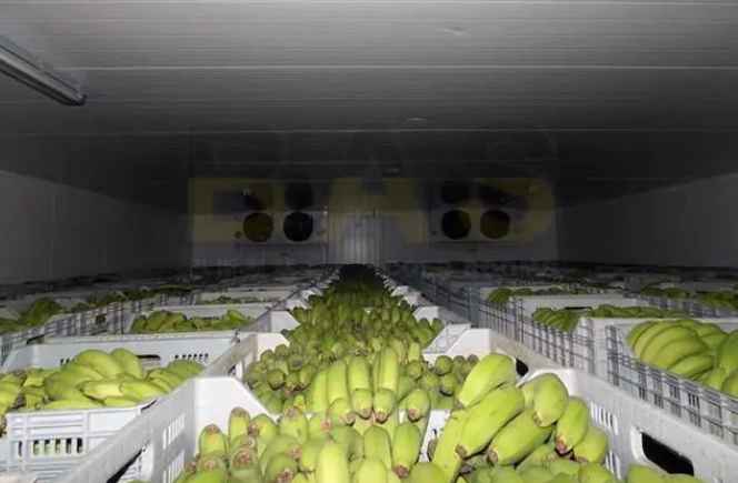 安裝水果保鮮庫(kù)多少錢一平方 安裝水果保鮮庫(kù)多少錢一平方