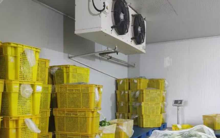 果蔬保鮮冷庫安裝有哪幾點注意事項