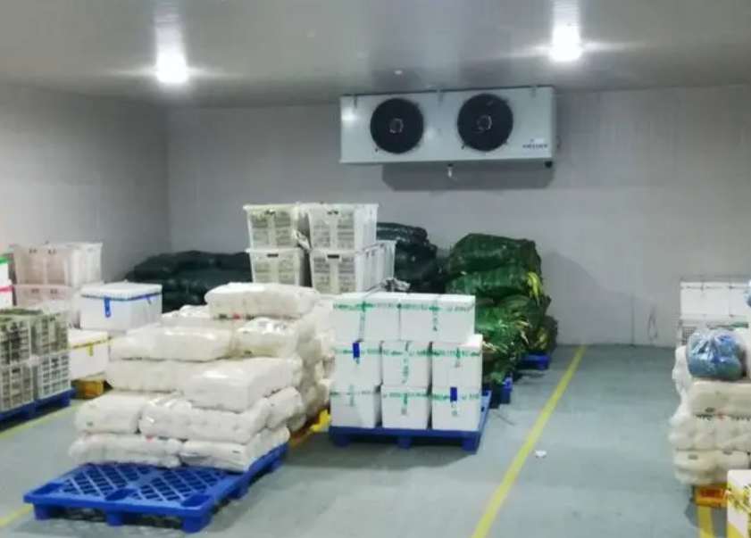 建地上冷庫和建地下冷庫哪種效果好