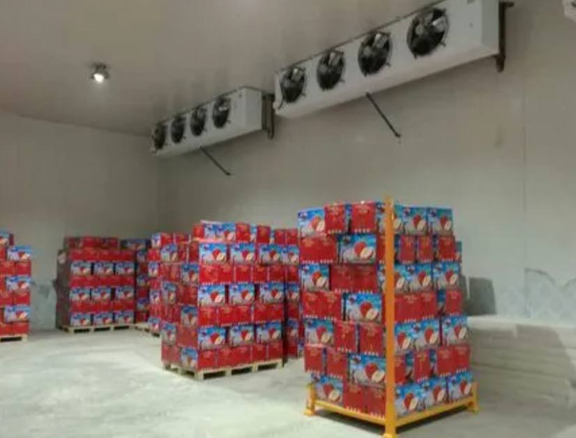 蘋果冷庫儲存方法及溫度是多少
