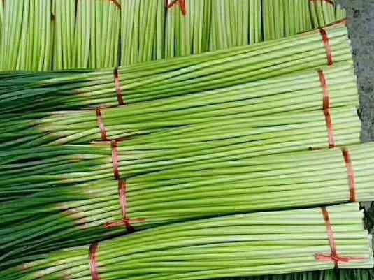 蒜苔冷庫保鮮有什么技巧 蒜苔冷庫保鮮有什么技巧