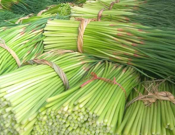 蒜苔冷庫如何正確保鮮儲存？