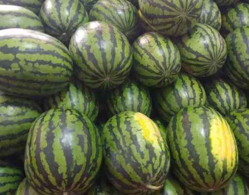 小型西瓜保鮮冷庫安裝多少錢 小型西瓜保鮮冷庫安裝多少錢