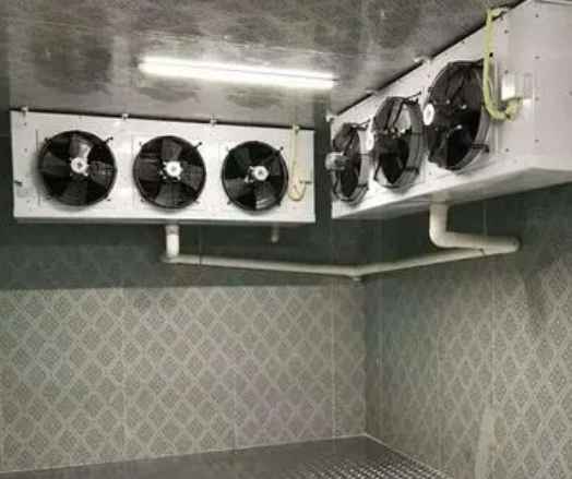 水果店冷庫建設(shè)多少錢一平方