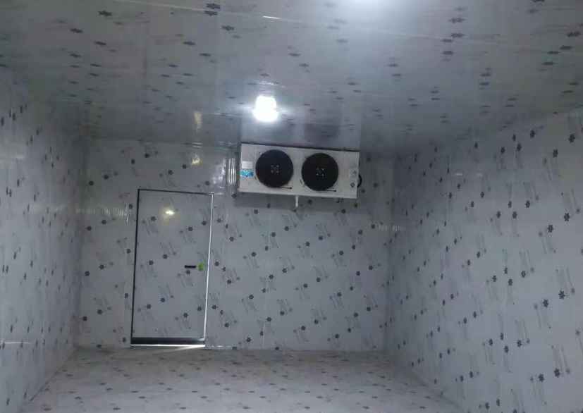 陽光玫瑰葡萄冷庫保鮮技術有哪些要求