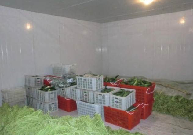 冷庫價格揭秘：影響冷庫造價的關(guān)鍵因素有哪些？