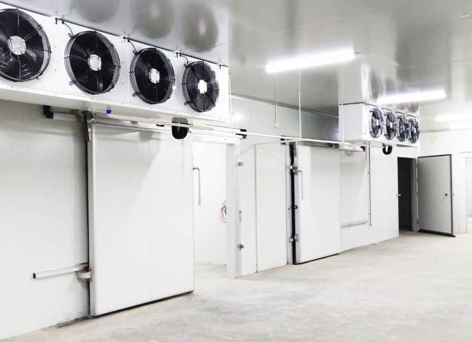 南京速凍冷庫日常維護保養的全面指南？