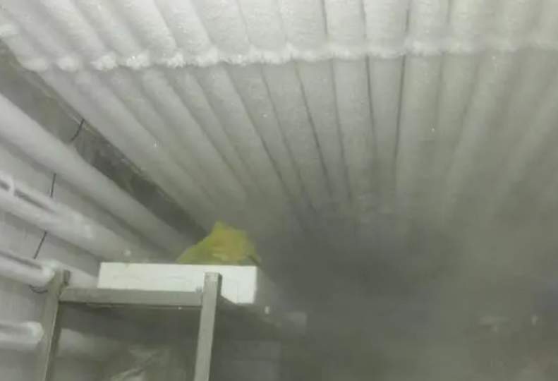 定制低溫速凍冷庫的成本大概是多少? 定制低溫速凍冷庫的成本大概是多少?