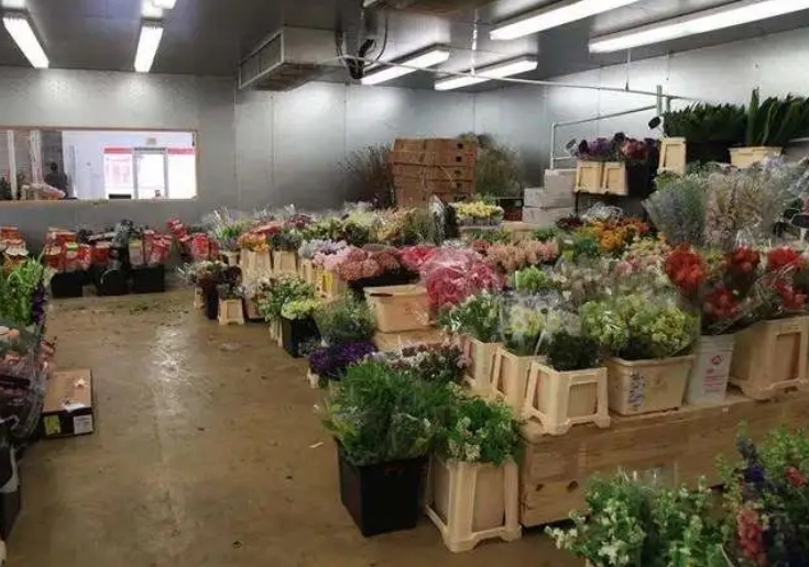 不同種類的鮮花對冷庫溫度的要求一樣嗎? 不同種類的鮮花對冷庫溫度的要求一樣嗎?
