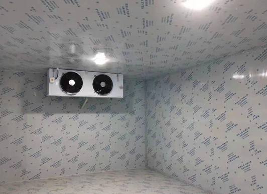 現代各領域里，冷庫主要應用在哪些地方？